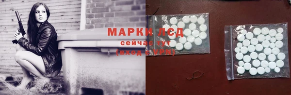 СК Алексин