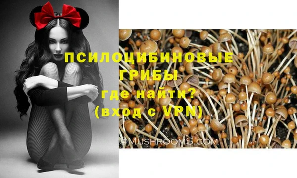 кокаин премиум Алексеевка